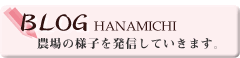 hanamichiのブログ
