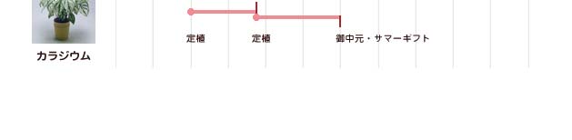 栽培カレンダー