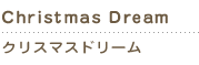 christmas dream　クリスマスドリーム