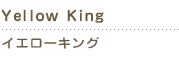 yellow king　イエローキング