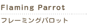 flaming parrot　フレーミングパロット