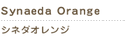 synaeda orange　シネダオレンジ